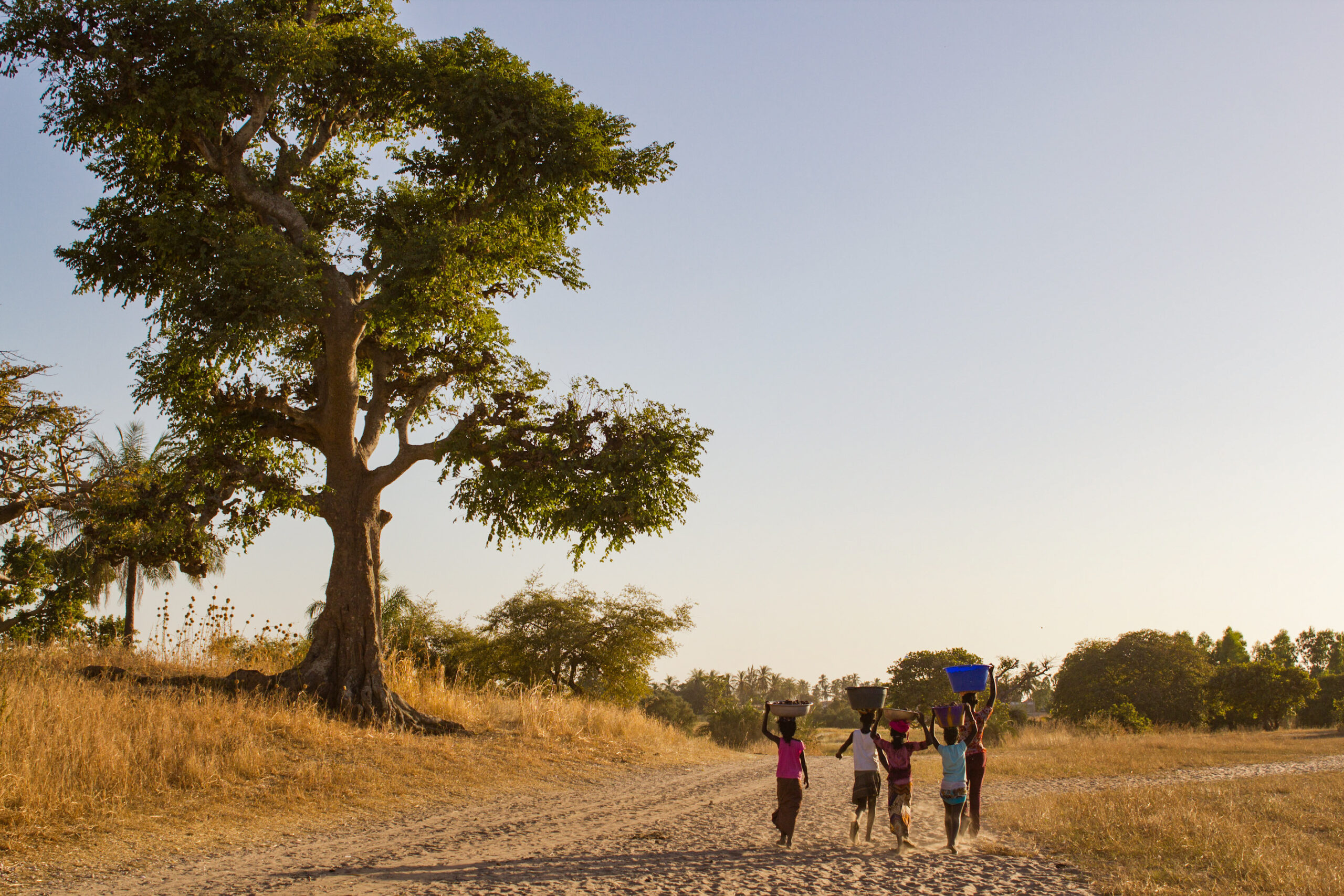 Voyage Sénégal - Découvrez un tourisme solidaire, responsable et durable au  Sénégal